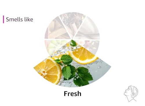 Lulu Candles | Vanilla Oak | Luxury Scented Soy Jar Candle | Hand Poured in The USA | Highly Scented & Long Lasting- 9 Oz.